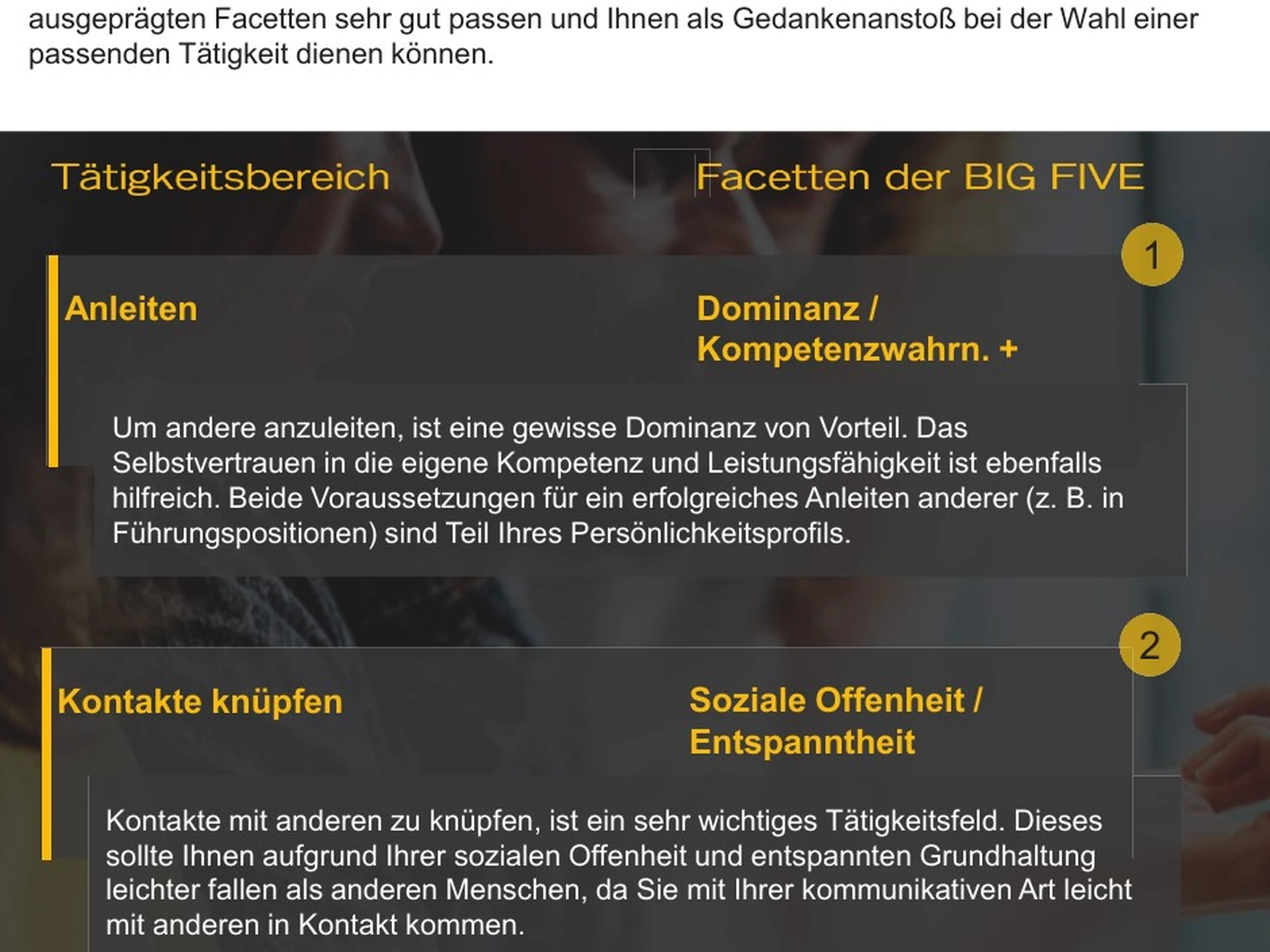 Ausschnitt einer anonymisierten Auswertung mit passenden Tätigkeitsfeldern.