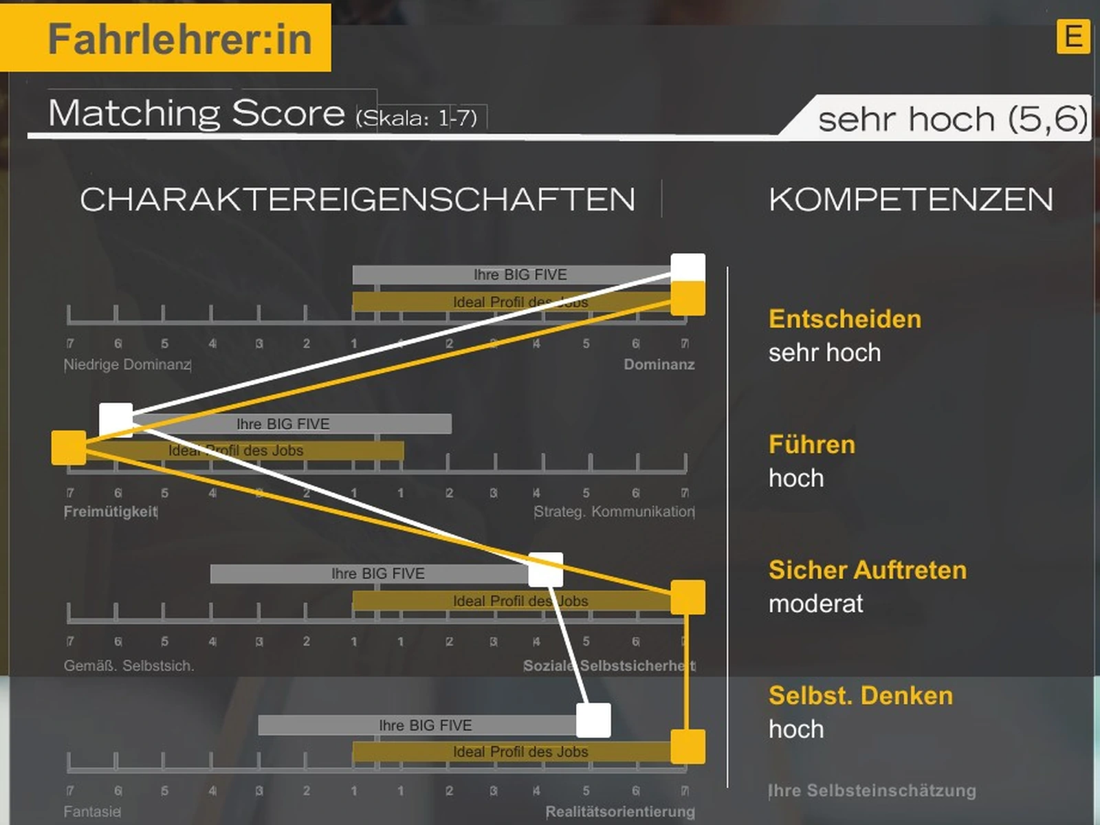 Ausschnitt einer anonymisierten Auswertung mit beruflichen Vorschlägen.