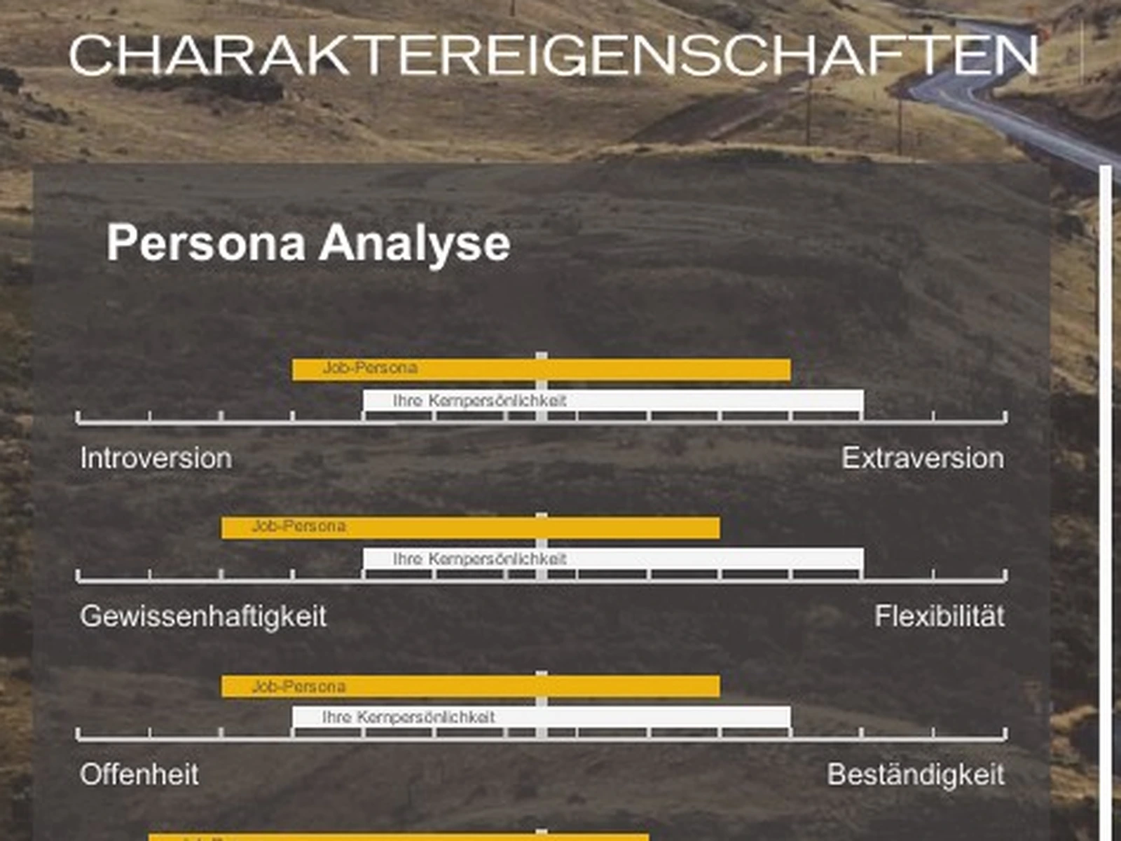 Ausschnitt einer anonymisierten Auswertung mit Persönlichkeitsmerkmalen.